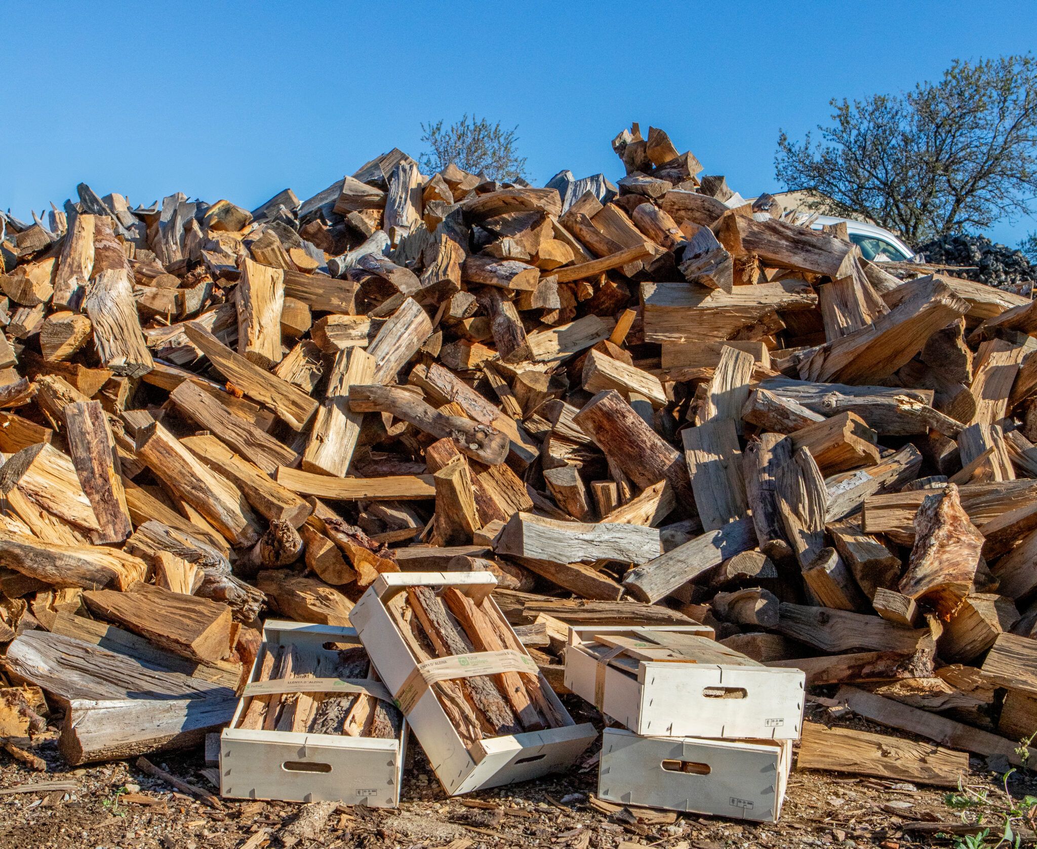 Llenya a granel i en caixes - Futur Ecològic Gran pila de llenya d'alzina i pi a granel amb caixes de fusta preparades per a la venda a Futur Ecològic.